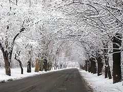 A snowy road in Mendoza Province, Argentina. Photo taken on July 15, 2010.